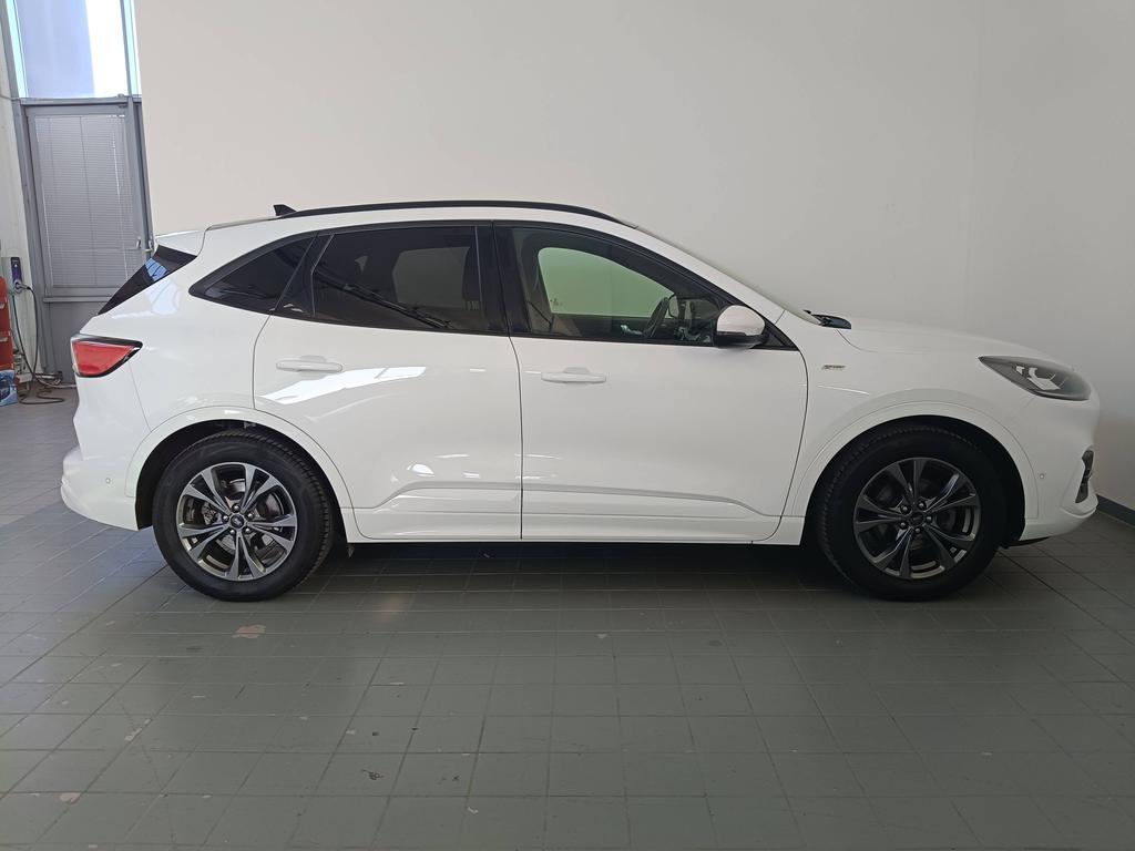 Ford Kuga 1.5 ecoblue ST-Line X 2wd 120cv