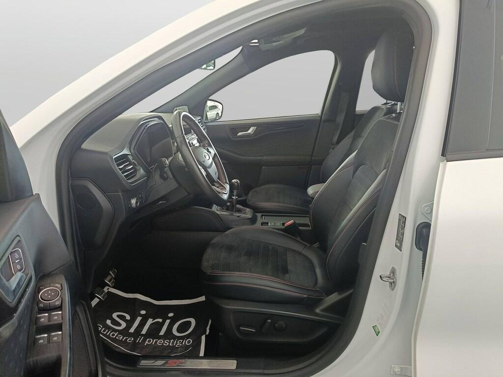 Ford Kuga 1.5 ecoblue ST-Line X 2wd 120cv