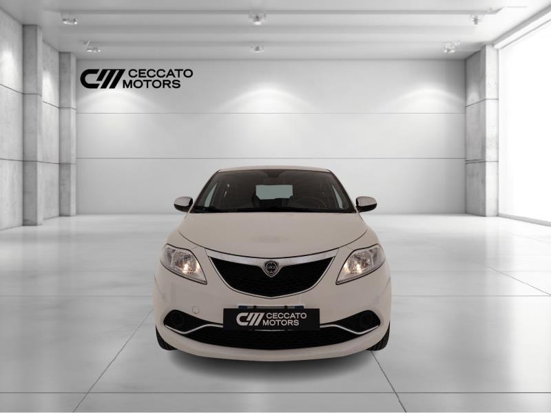 Lancia Ypsilon 1.2 Elefantino Blu s&s 69cv my19