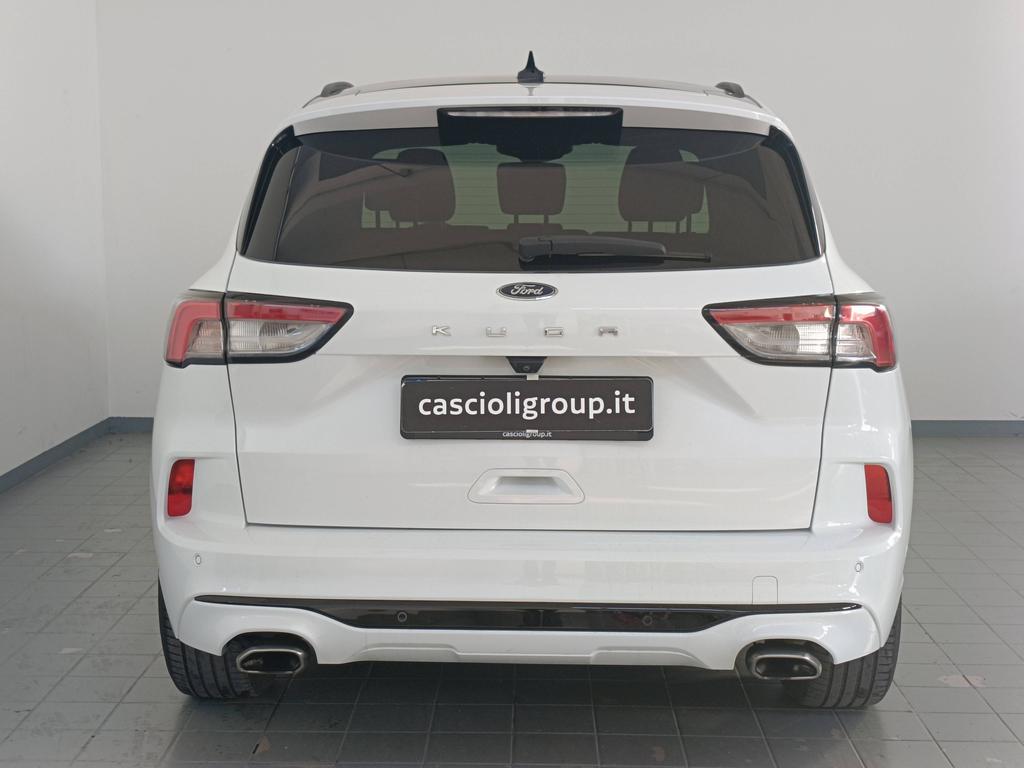Ford Kuga 1.5 ecoblue ST-Line X 2wd 120cv