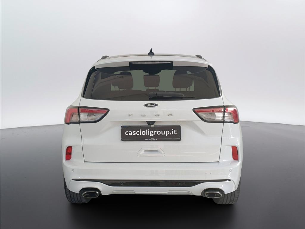 Ford Kuga 1.5 ecoblue ST-Line X 2wd 120cv