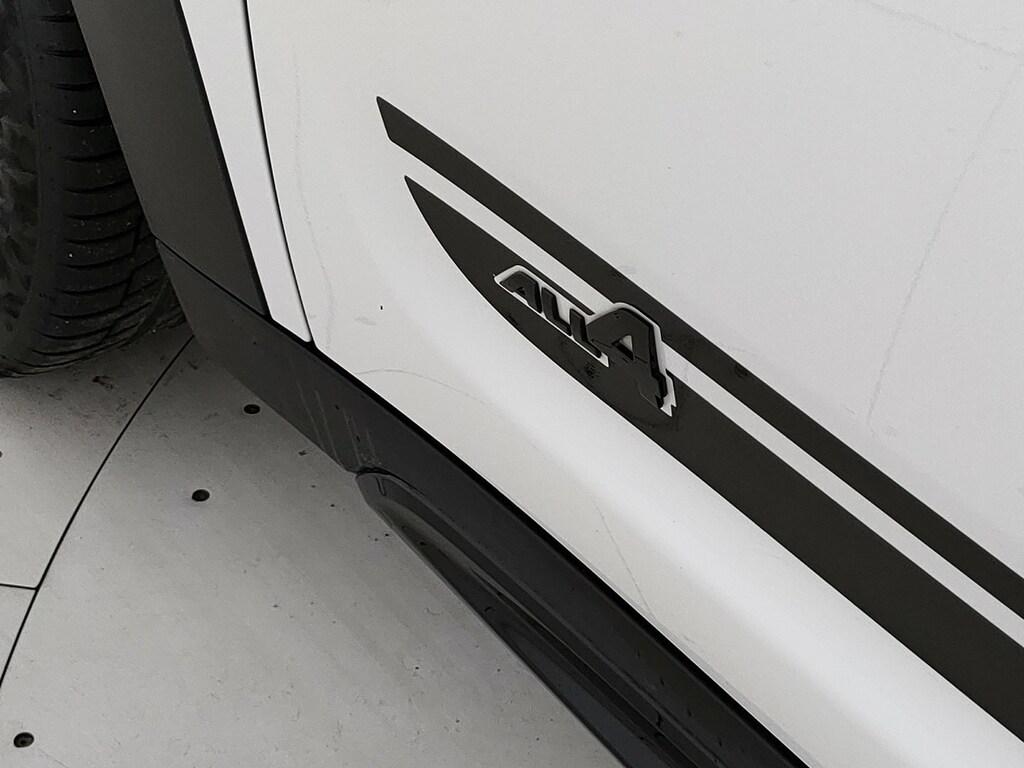 Mini Mini Countryman 2.0 JCW JCW auto