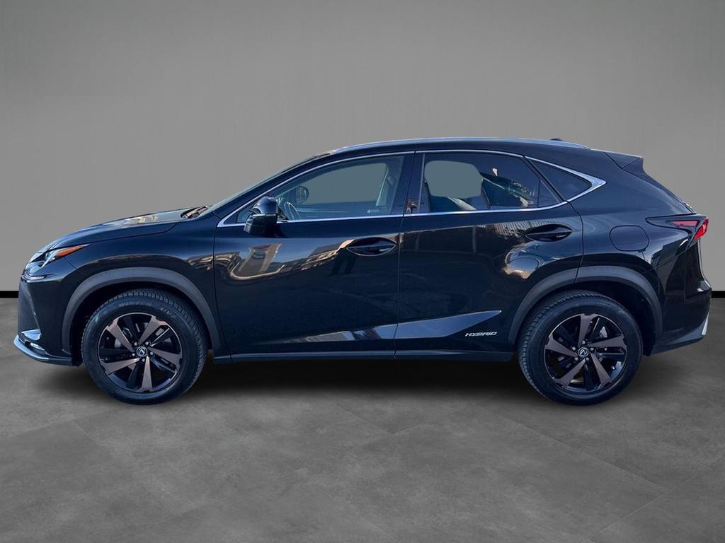 Lexus NX 300 h 2.5 Premium 4wd cvt