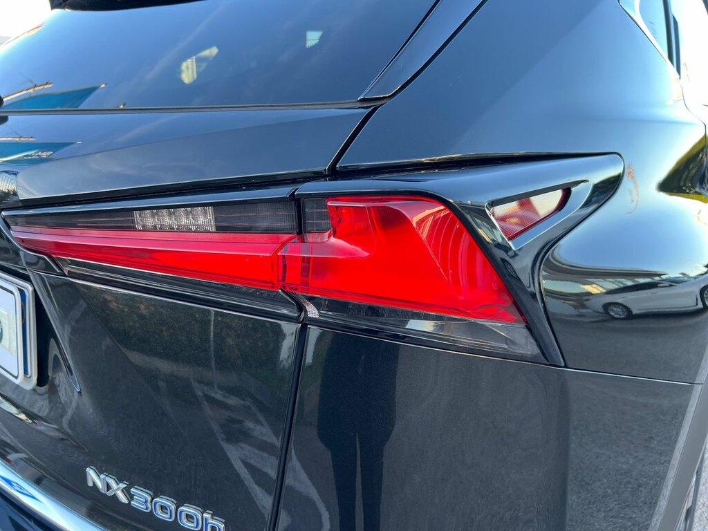 Lexus NX 300 h 2.5 Premium 4wd cvt