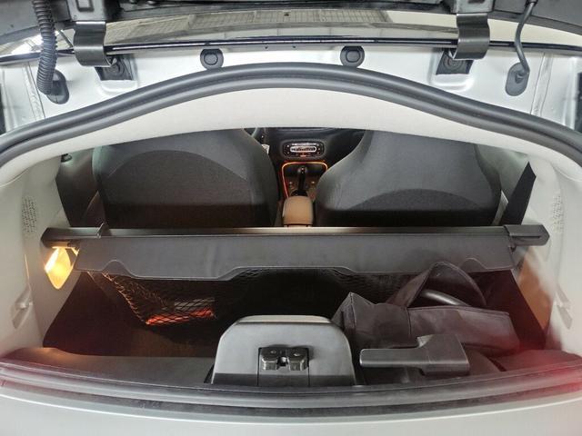 Smart fortwo eq mattrunner 22kW