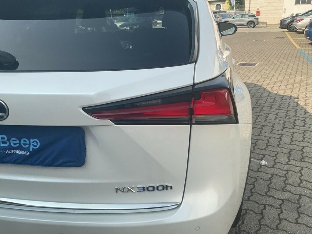Lexus NX 300 h 2.5 Premium 4wd cvt