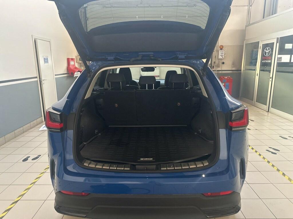 Lexus NX 2.5 plug-in Premium 4wd e-cvt