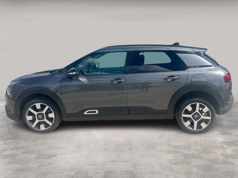 Citroen C4 Cactus 1.2 puretech Shine s&s 110cv my18