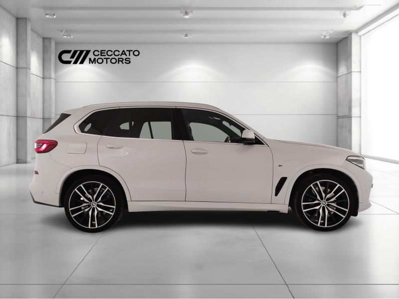 BMW X5 xdrive30d Msport auto