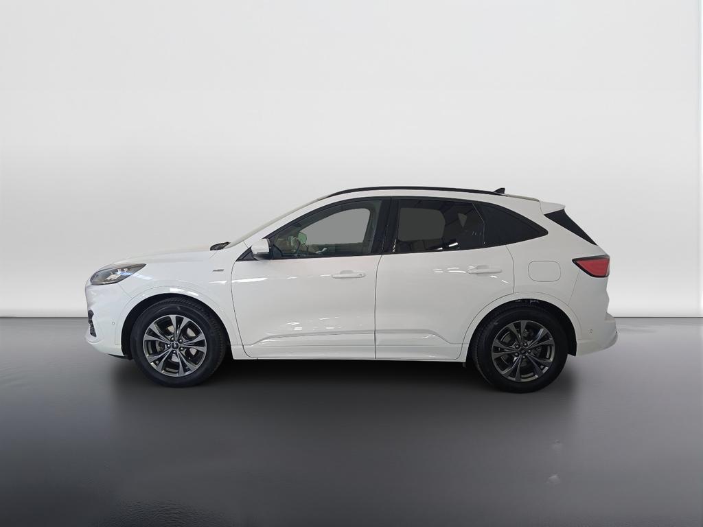 Ford Kuga 1.5 ecoblue ST-Line X 2wd 120cv