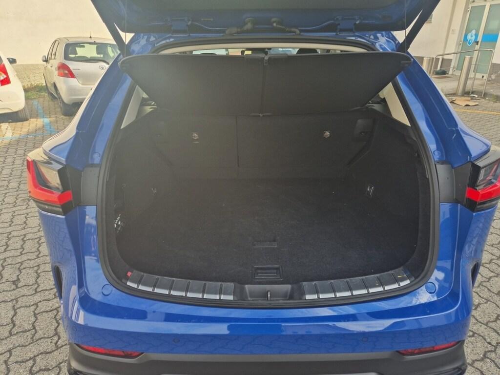 Lexus NX 2.5 hybrid Business 4wd e-cvt