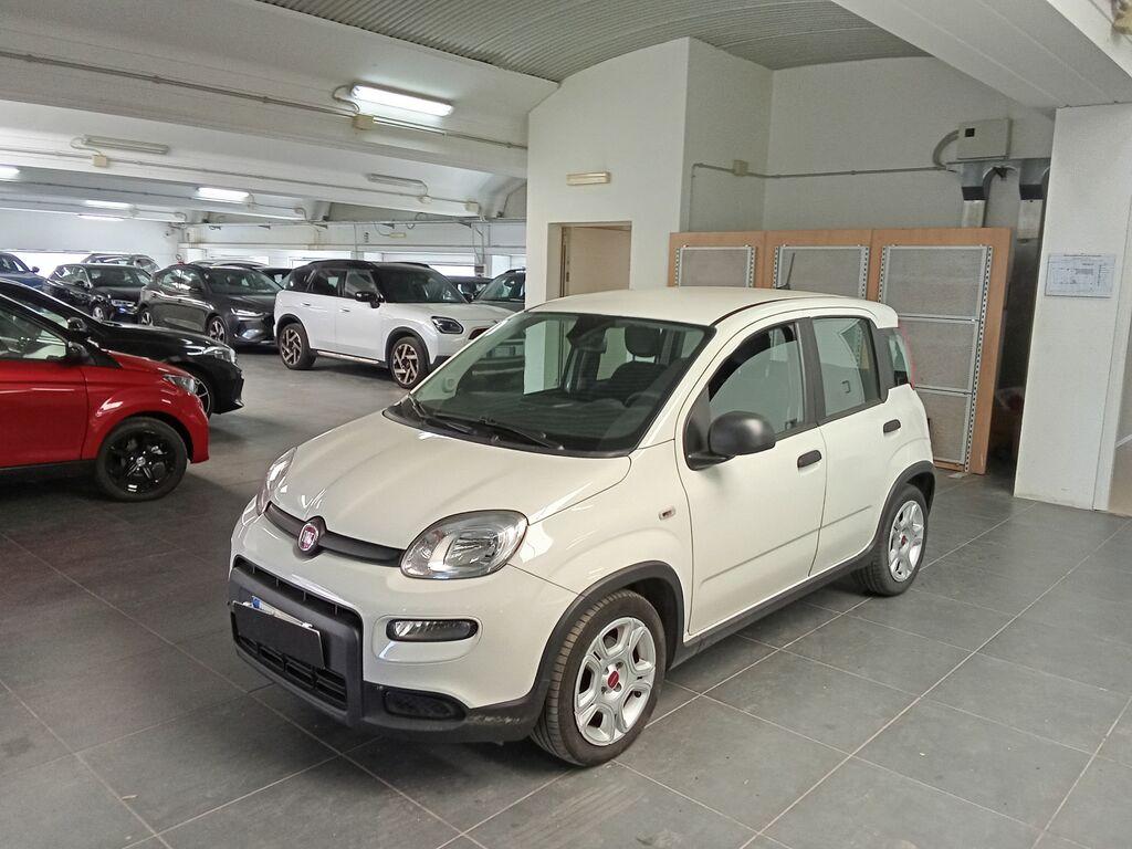 Fiat Panda 1.0 firefly hybrid s&s 70cv