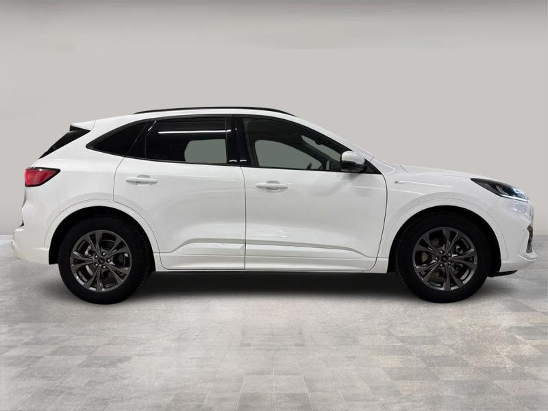 Ford Kuga 1.5 ecoblue ST-Line 2wd 120cv