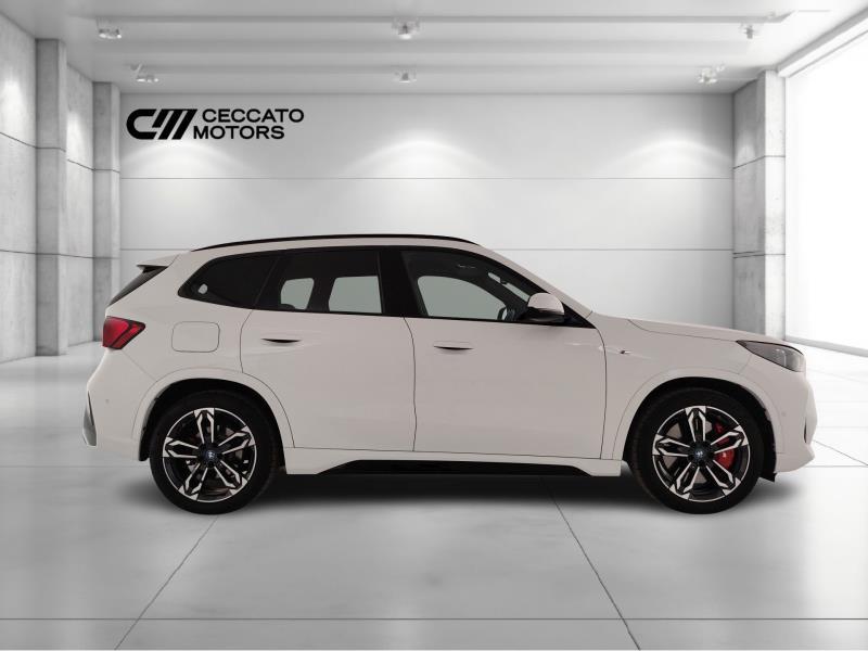 BMW X1 xdrive 25e MSport Pro auto
