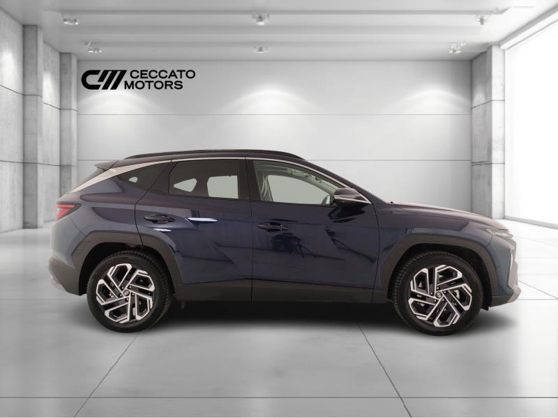 Hyundai Tucson 1.6 hev Business 4wd auto