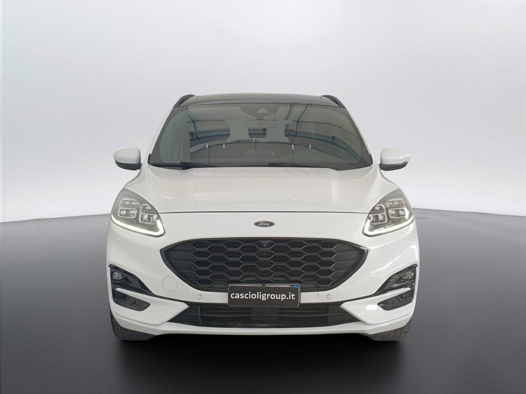 Ford Kuga 1.5 ecoblue ST-Line X 2wd 120cv