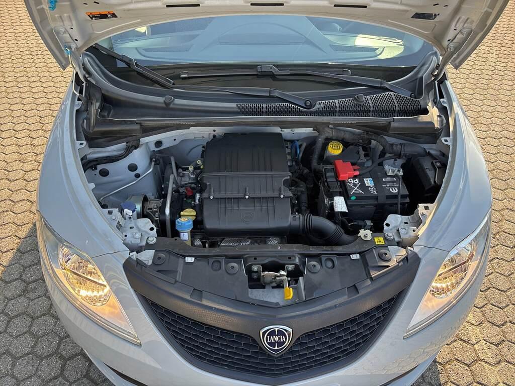 Lancia Ypsilon 1.2 Elefantino Blu s&s 69cv my19