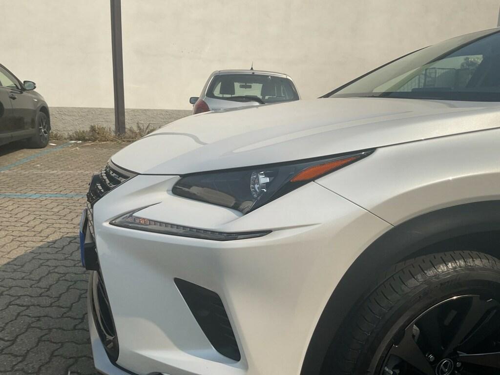 Lexus NX 300 h 2.5 Premium 4wd cvt
