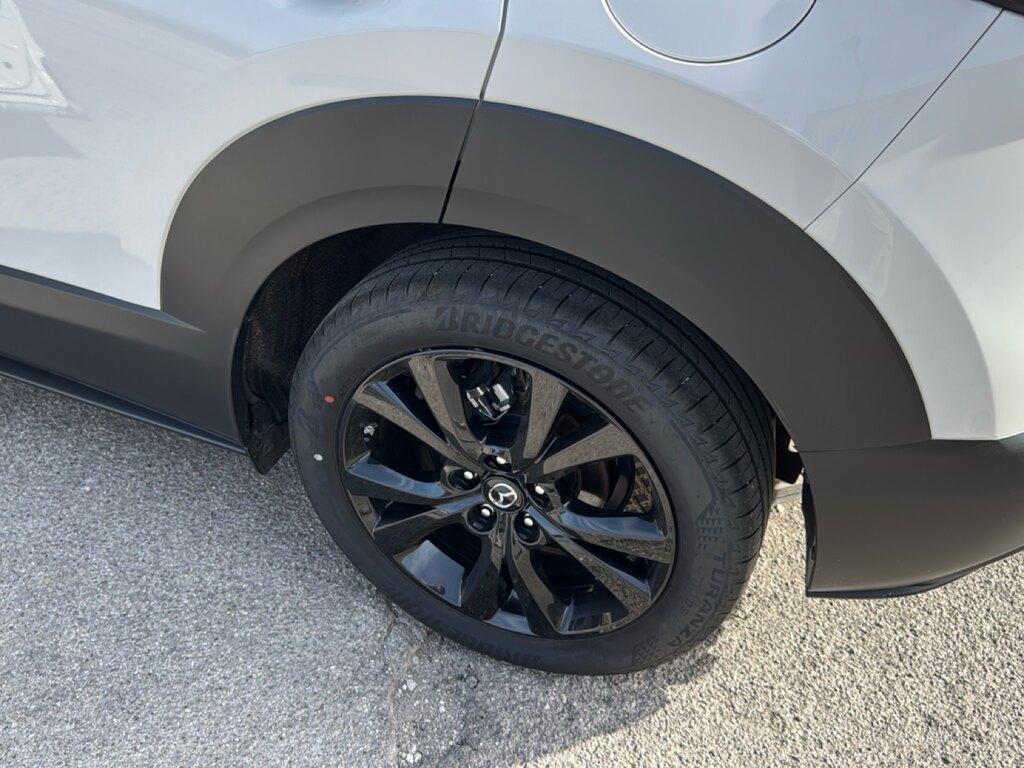 Mazda CX-30 2.0 m-hybrid Homura 2wd 150cv 6at