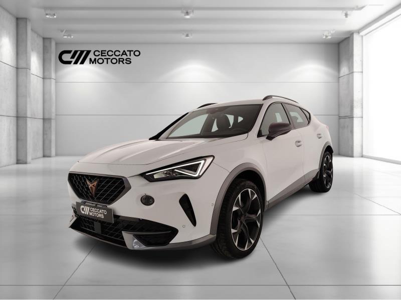 Cupra Formentor 2.0 tdi