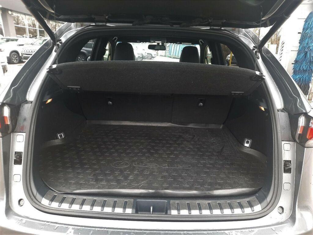 Lexus NX 300 h 2.5 F-Sport 4wd cvt