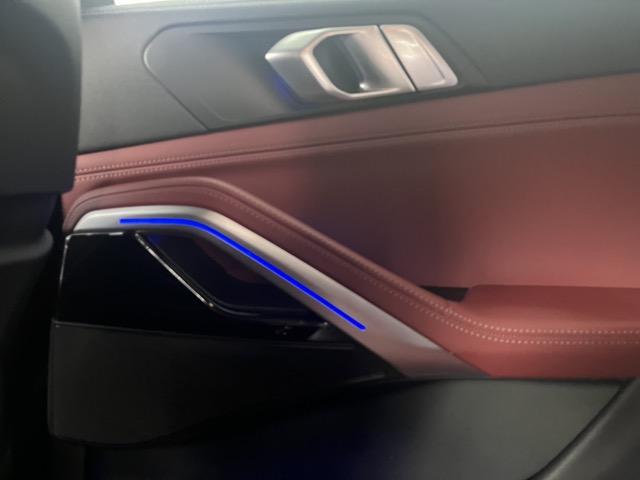 BMW X6 X6 xdrive30d mhev 48V Msport auto