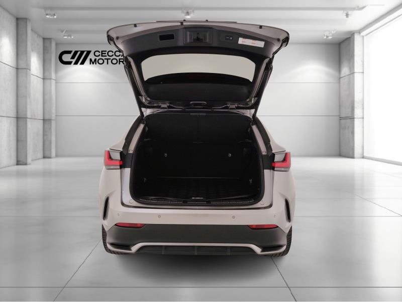 Lexus NX 2.5 hybrid F-Sport 4wd e-cvt