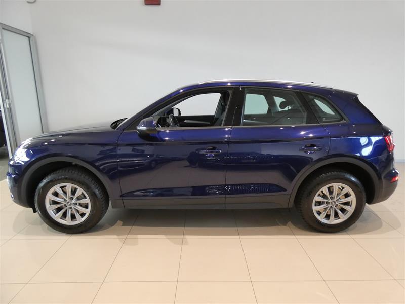 Audi Q5 35 2.0 tdi Business quattro 163cv s-tronic