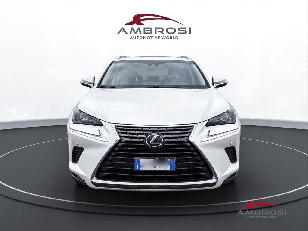 Lexus NX 300 h 2.5 Executive 4wd cvt