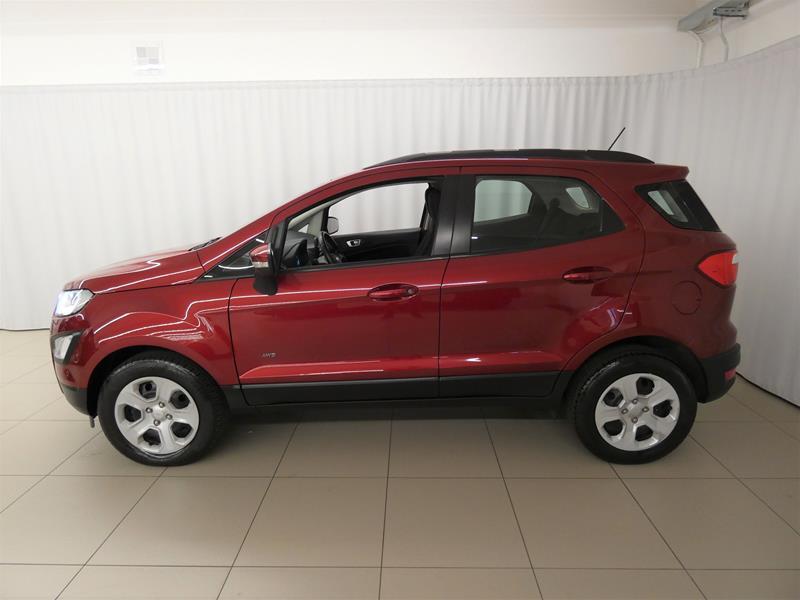 Ford EcoSport 1.5 ecoblue Plus awd s&s 125cv my19