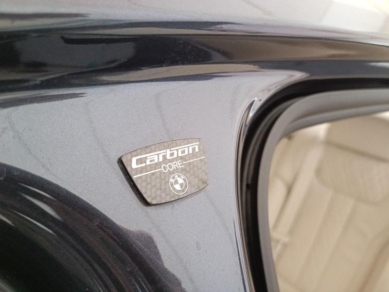 BMW Serie 7 730d xdrive Eccelsa 258cv auto