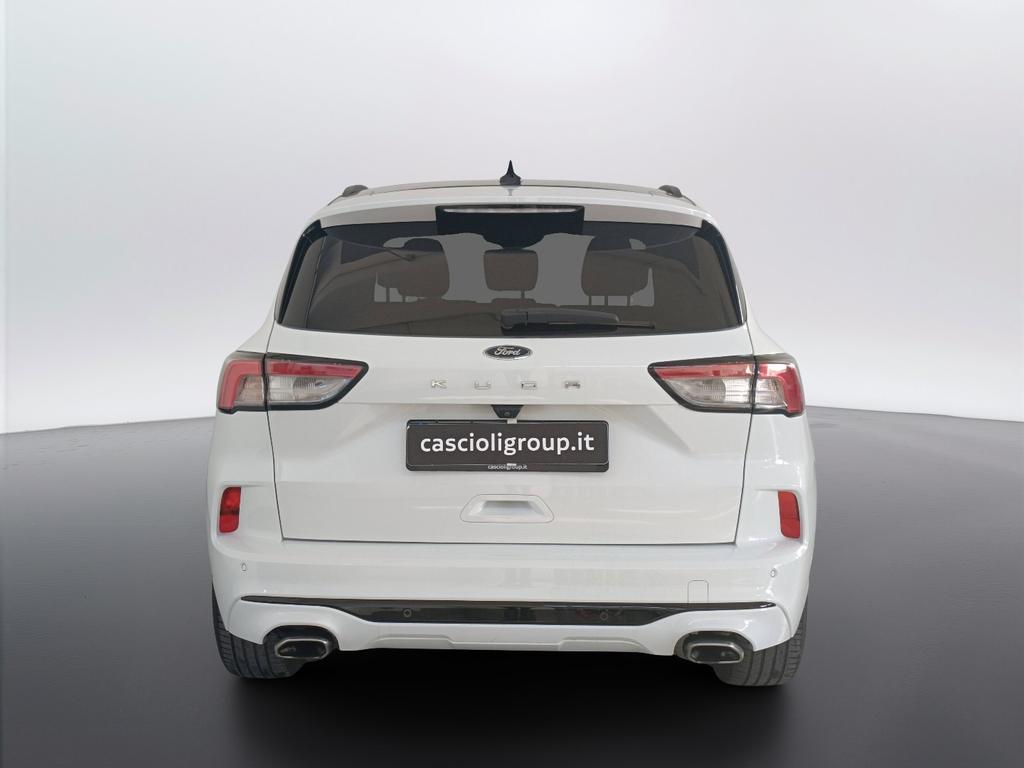 Ford Kuga 1.5 ecoblue ST-Line X 2wd 120cv