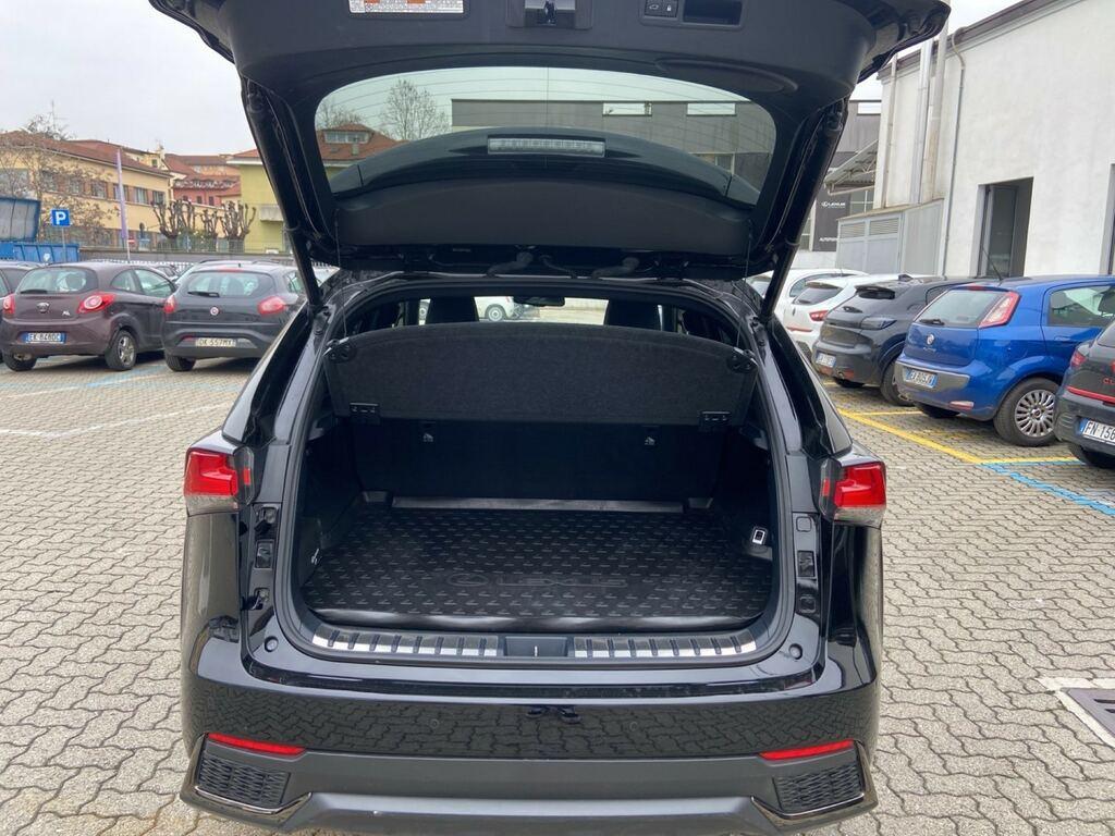 Lexus NX 300 h 2.5 F Sport 4wd cvt