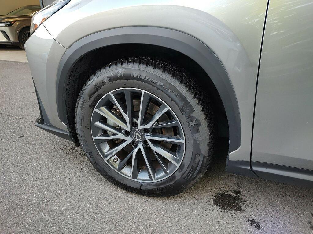 Lexus NX 2.5 plug-in Premium 4wd e-cvt