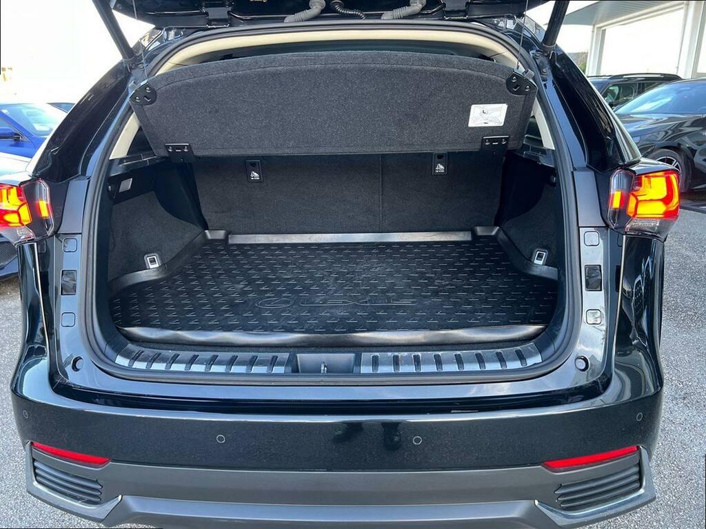 Lexus NX 300 h 2.5 Premium 4wd cvt