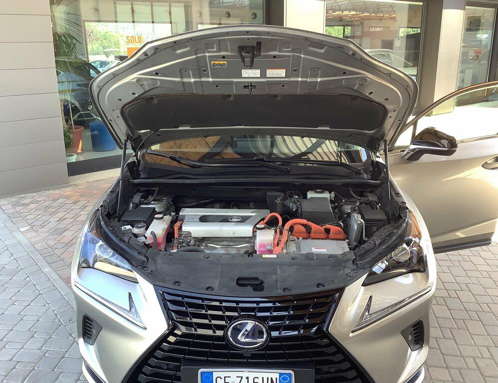 Lexus NX 300 h 2.5 Premium 4wd cvt