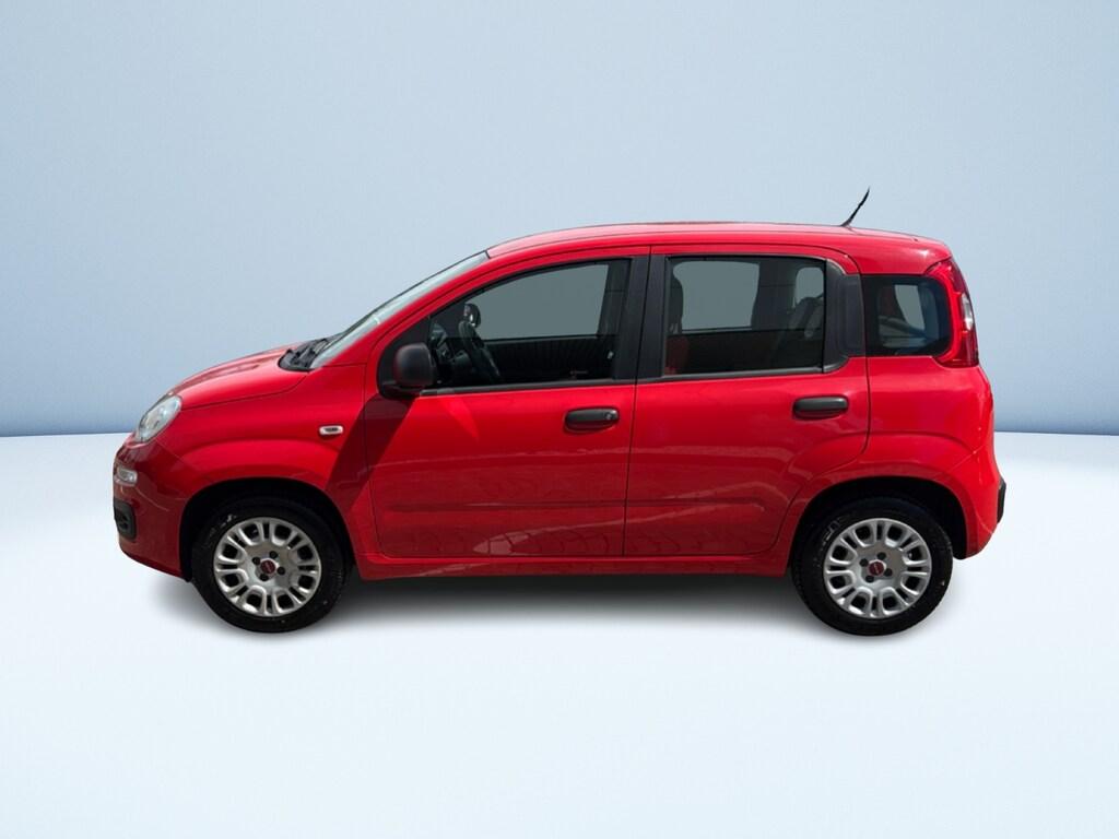 Fiat Panda 1.2 Easy s&s 69cv my19