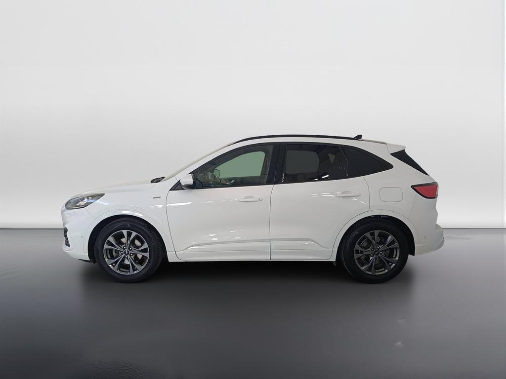 Ford Kuga 1.5 ecoblue ST-Line X 2wd 120cv