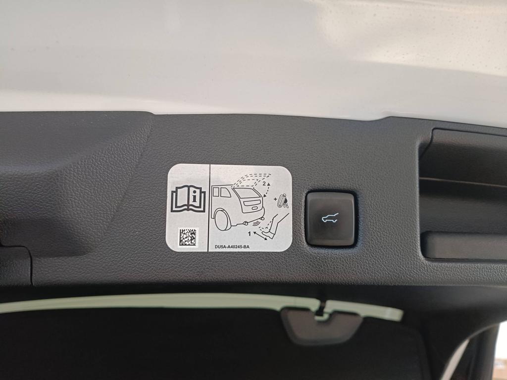 Ford Kuga 1.5 ecoblue ST-Line X 2wd 120cv