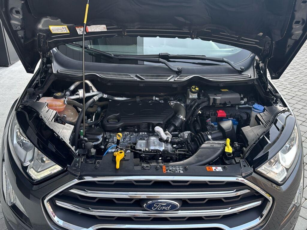 Ford EcoSport 1.5 tdci Plus awd s&s 125cv