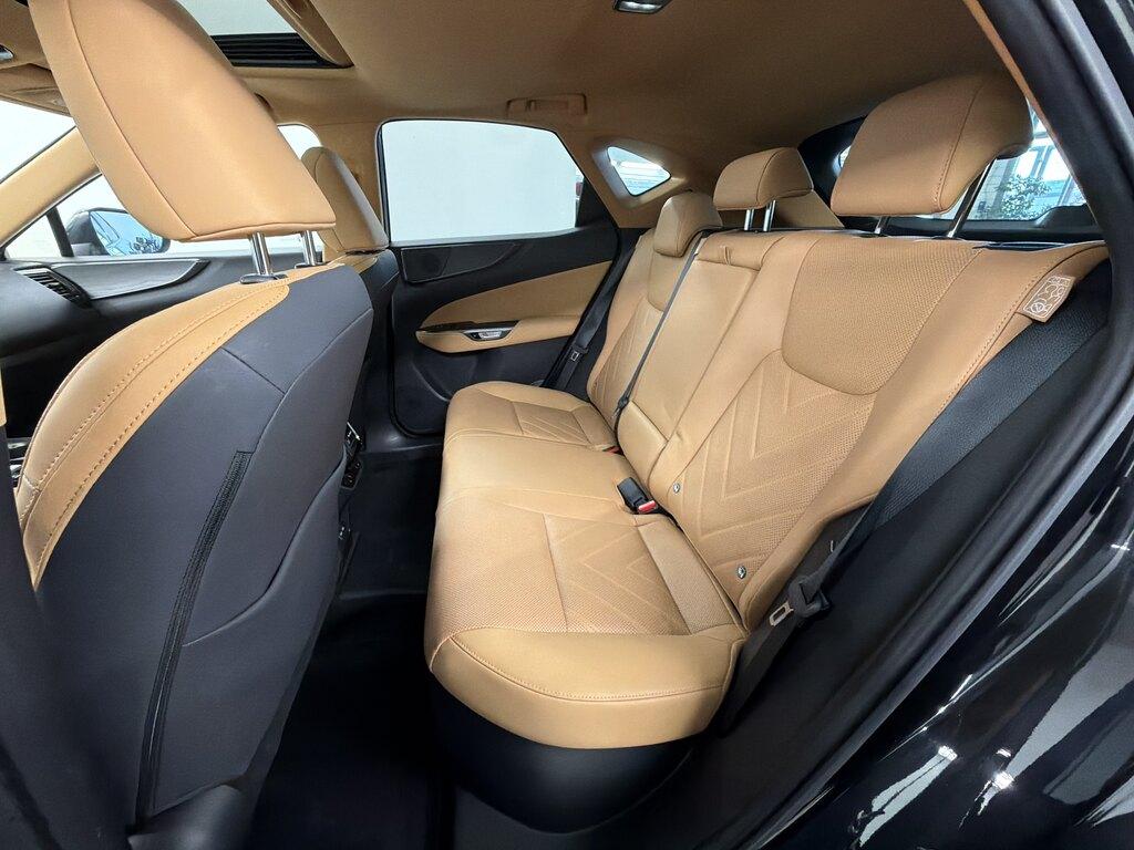 Lexus NX 2.5 plug-in Luxury 4wd e-cvt