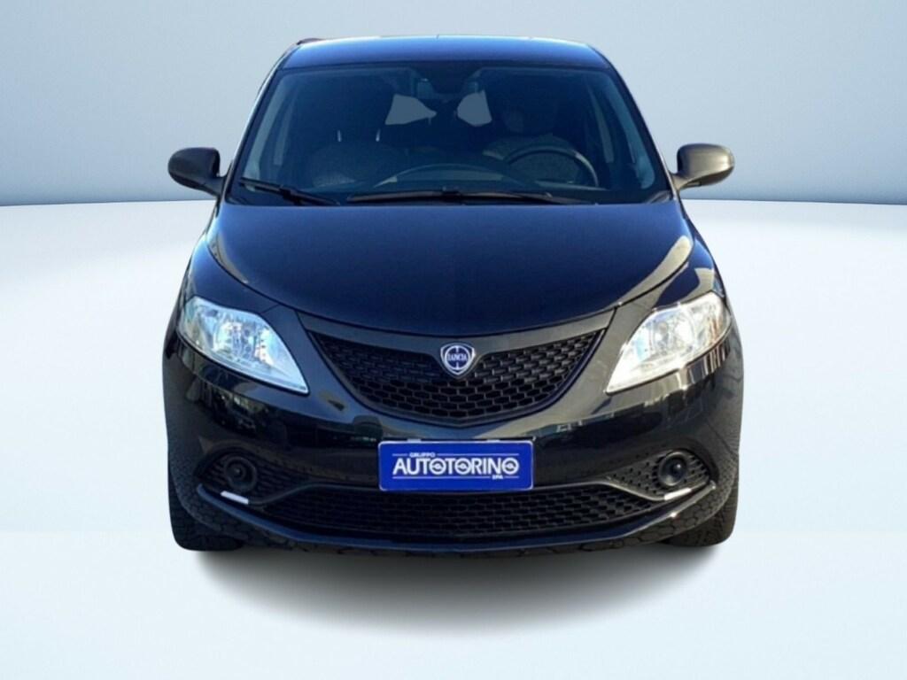 Lancia Ypsilon 1.2 Elefantino Blu s&s 69cv my19