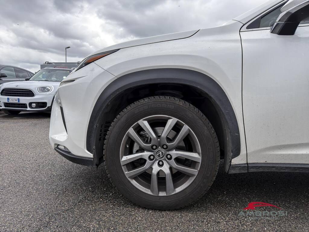 Lexus NX 300 h 2.5 Executive 4wd cvt