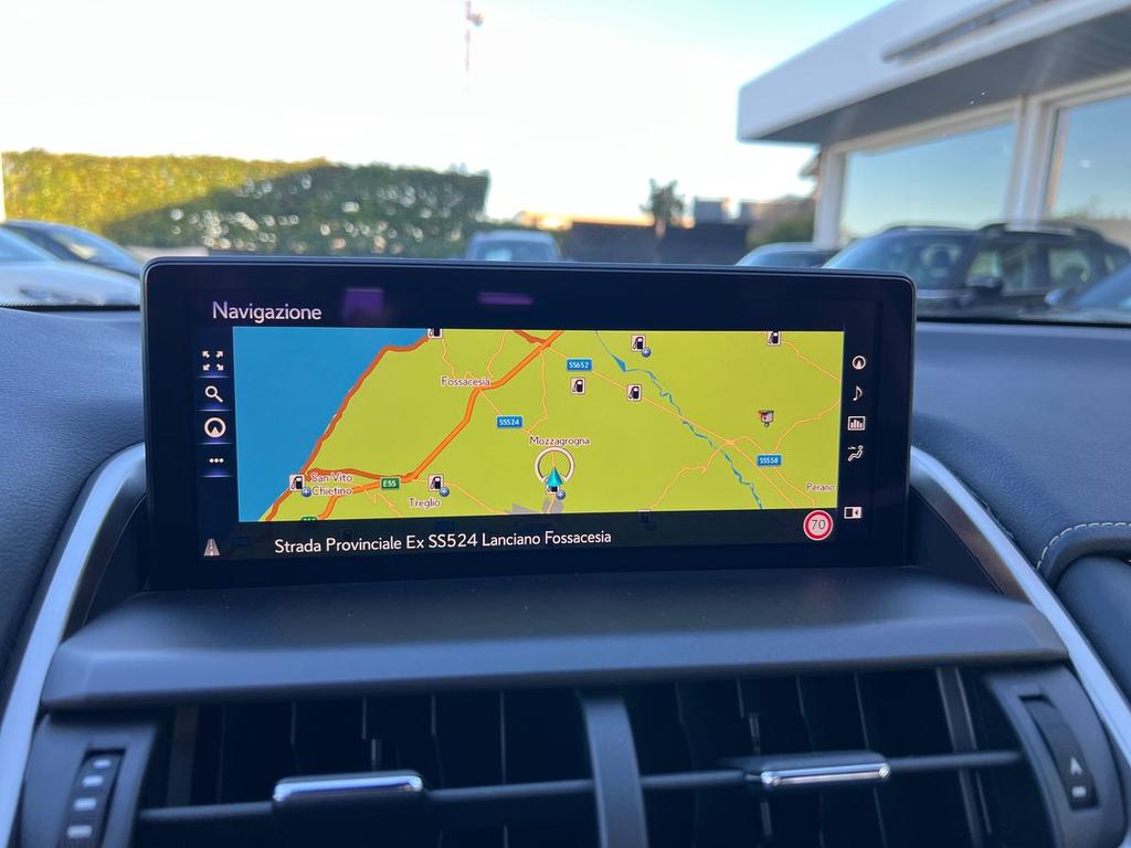 Lexus NX 300 h 2.5 Premium 4wd cvt