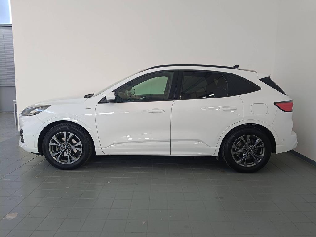 Ford Kuga 1.5 ecoblue ST-Line X 2wd 120cv