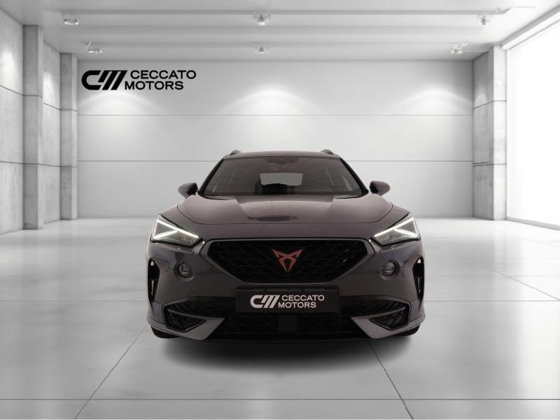 Cupra Formentor 2.0 tdi 4drive dsg