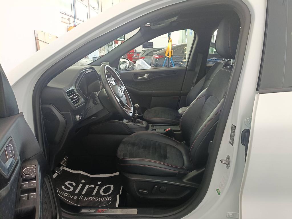 Ford Kuga 1.5 ecoblue ST-Line X 2wd 120cv