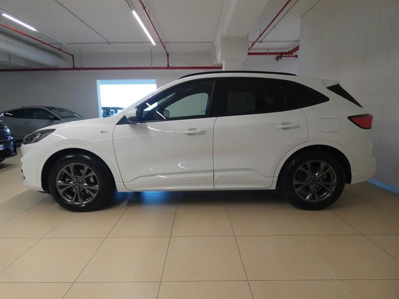 Ford Kuga 1.5 ecoblue ST-Line 2wd 120cv auto