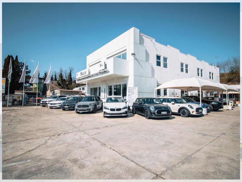 BMW X6 X6 xdrive30d mhev 48V Msport auto